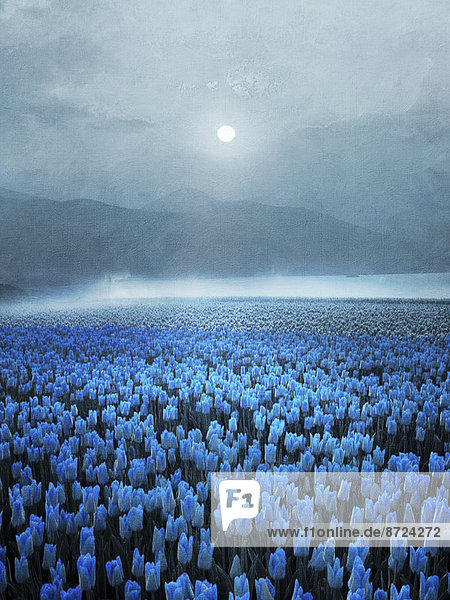 Stimmungsvolles Feld mit blauen Tulpen in einer Berglandschaft im Mondlicht