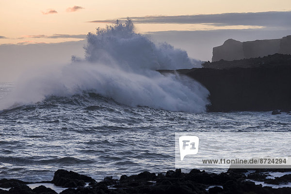 High waves breaking against the coastal cliffs  Þrælavík  Snæfellsnes  Iceland
