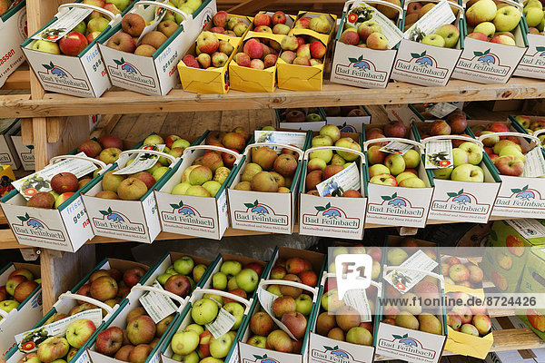 Äpfel in Papp-Körben  Apfelmarkt  Bad Feilnbach  Oberbayern  Bayern  Deutschland