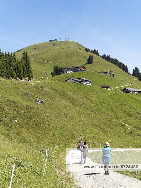 Mt Hohe Salve  Kitzbühel Alps  Tyrol  Austria