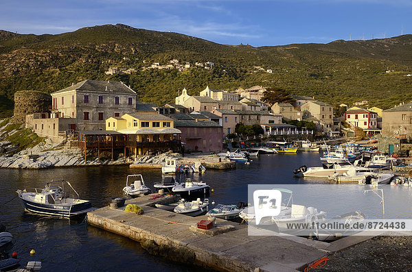 Harbour  fishing village  Port de Centuri  Cap Corse  Corsica  France