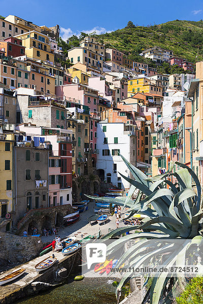 Colourful houses  Riomaggiore  Cinque Terre  UNESCO World Heritage Site  Province of La Spezia  Liguria  Italy