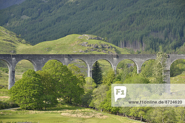Glenfinnan Viaduct on the West Highland Line  used in the Harry Potter films  Glenfinnan  Scottish Highlands  Scotland  United Kingdom
