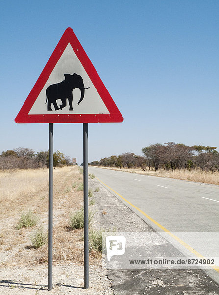 Verkehrszeichen  Warnung vor kreuzenden Elefanten an der Straße B8  Straßenabschnitt im Bwabwata-Nationalpark im Caprivizipfel  Region Caprivi  Namibia