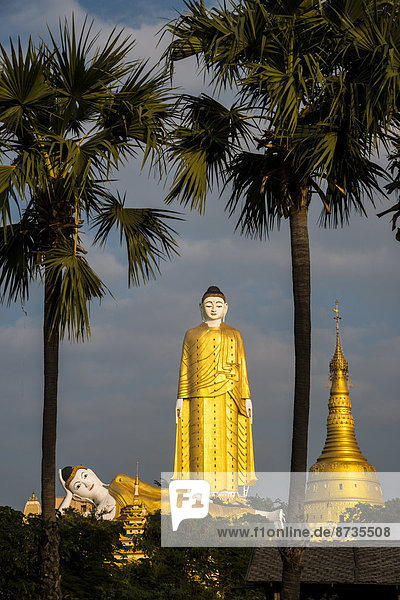Lay Kyun Sakkya  Stehender Buddha  Liegender Buddha  Statuen  und Aung Sakkya Pagode  Maha Bodhi Ta Htaung  Monywa  Sagaing-Division  Myanmar