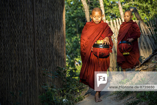 Buddhist novices with begging bowls at their morning begging tour Mount Popa in Bagan Mandalay Division Myanmar
