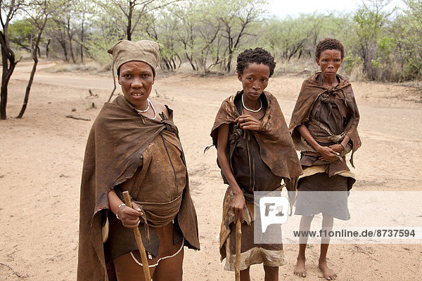 San oder Buschmann-Frauen in traditioneller Kleidung  Ghanzi  Botswana