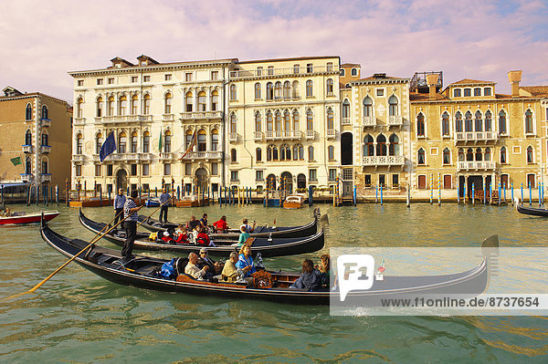 Gondolas on the Grand Canal  Venice  Veneto  Italy