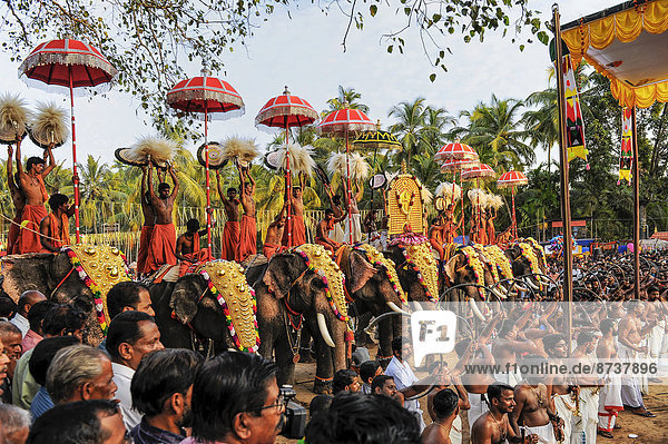 Hinduistisches Tempelfest mit vielen Elefanten  Thrissur  Kerala  Südindien  Indien