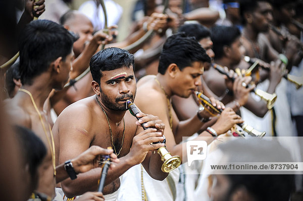 Musicians with trumpets at Hindu temple festival  Thrissur  Kerala  South India  India