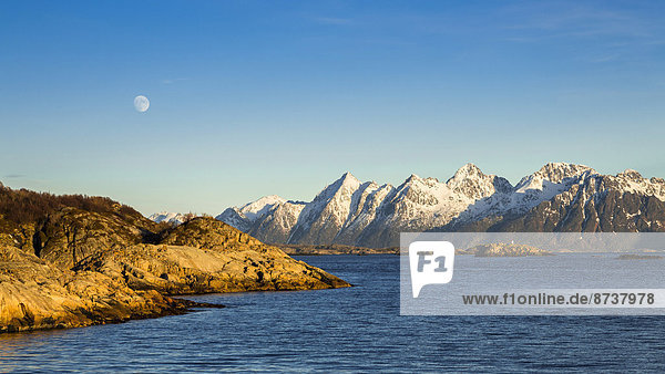 Abendlicht an der Küste bei Kabelvag  Austvågøy auch Austvågøya  Lofoten  Norwegen