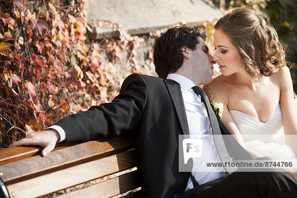 Portrait of Bride and Groom Kissing on Bench in Autumn  Toronto  Ontario  Canada