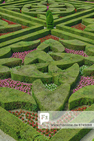 Frankreich  Palast  Schloß  Schlösser  Wahrzeichen  Garten  Ansicht  heben  Zaun  Renaissance  UNESCO-Welterbe  Loiretal