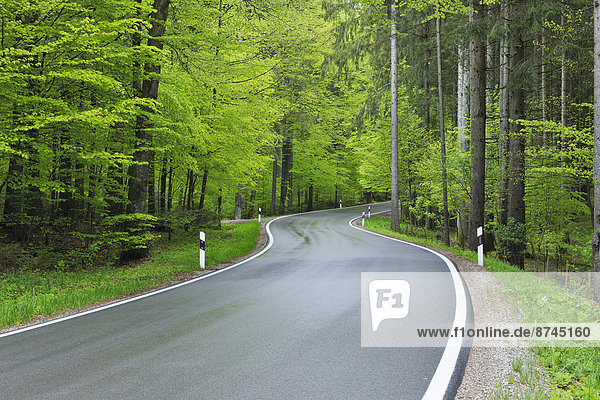 Biegung  Biegungen  Kurve  Kurven  gewölbt  Bogen  gebogen  grün  Überfluss  Fernverkehrsstraße  Wald  Bayern  Laub  Deutschland