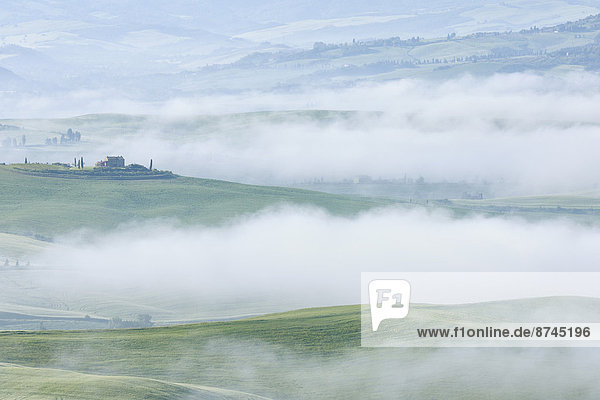 nahe  Morgen  Landschaft  Bauernhof  Hof  Höfe  Nebel  Toskana  typisch  Italien  Pienza