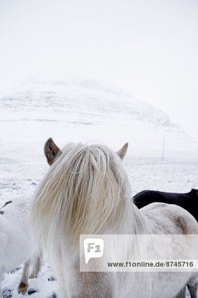 hoch oben nahe Winter Island