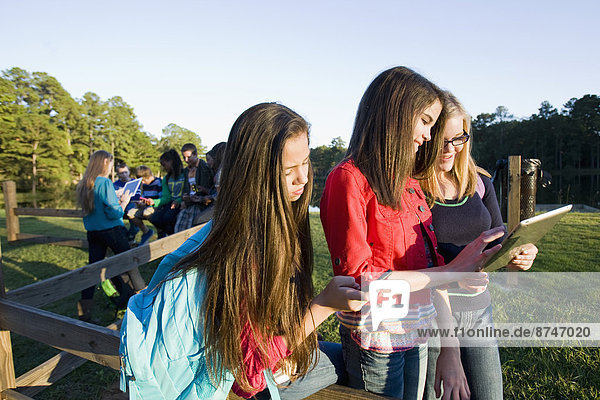Group of pre-teens sitting on fence  looking at tablet computers and cellphones  outdoors  Florida  USA