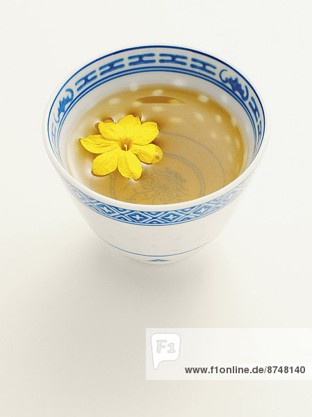 Jasmin  Jasminum officinal  Studioaufnahme  Tasse  chinesisch  Blüte  Tee