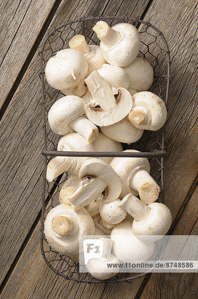 mushrooms in wire basket on wooden background  studio shot