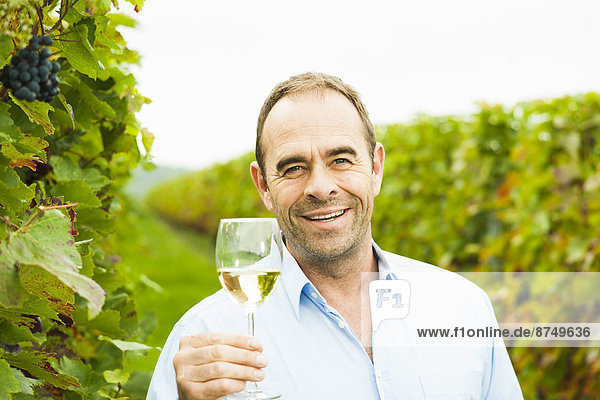Portrait of vintner holding glass of wine in vineyard  smiling and looking at camera  Rhineland-Palatinate  Germany