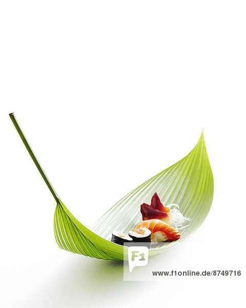 Sushi on bamboo leaf  studio shot