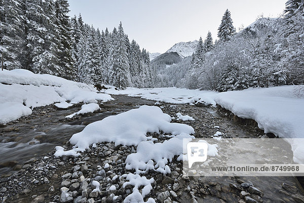 Mountain Stream in Winter with snow coverd trees and mountain  Berwang  Alps  Tyrol  Austria