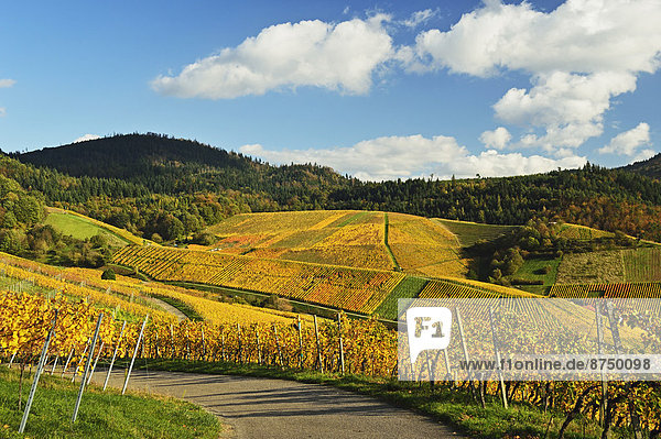 Baden-Württemberg  Deutschland