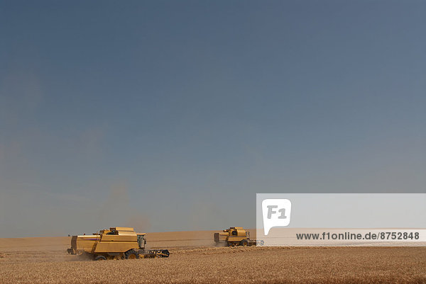 two combine harvesters working in wheat field