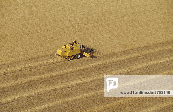 Combine harvester in wheat field aerial view