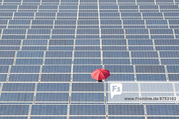 woman holding red umbrella in solar plant