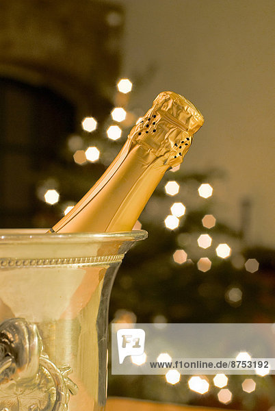 Bottle of champagne in cooler with Christmas tree in background