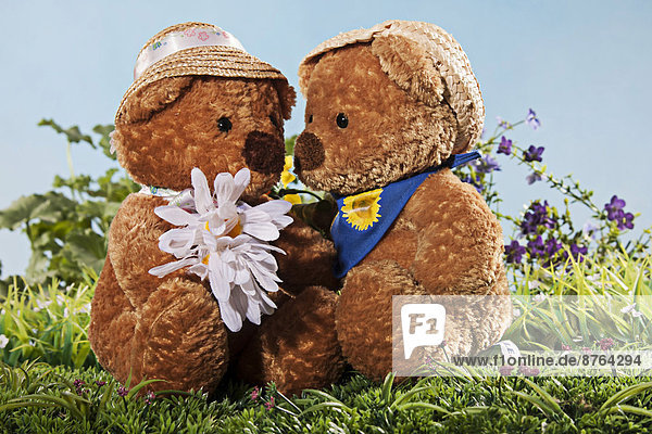 Zwei verliebte Teddybären auf Wiese
