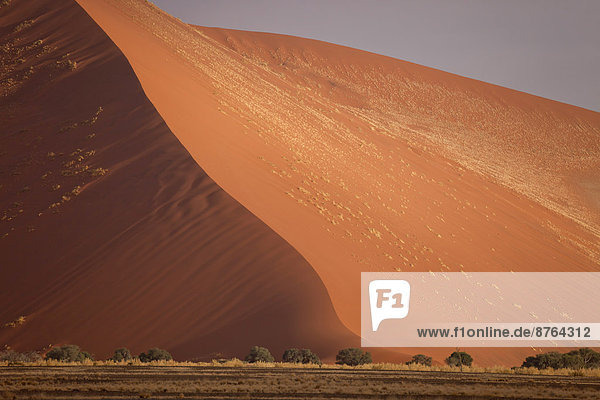Sanddüne  Sossusvlei  Namib-Naukluft-Nationalpark  Namib-Skelettküste-Nationalpark  Region Hardap  Namibia