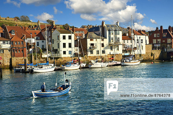 Fisherman in boat in Whitby Harbour  Whitby  North Yorkshire  England  United Kingdom