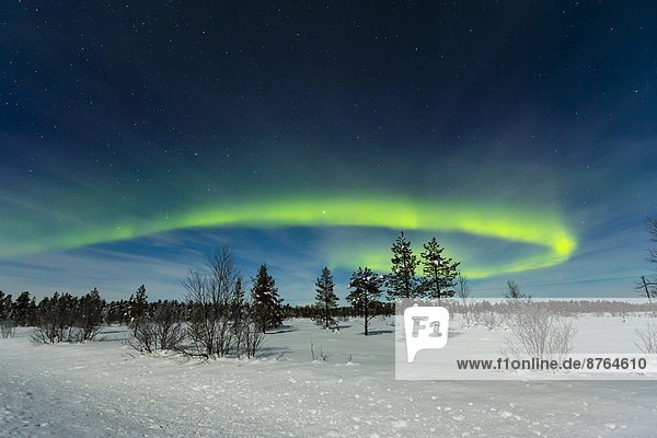 Northern Lights  near Inari  Finland