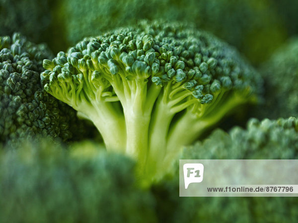 Extreme close up of raw broccoli