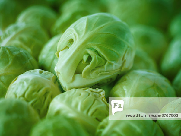 Extreme close up of raw brussels sprouts