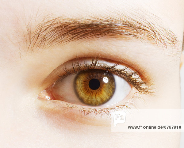 Extreme Nahaufnahme der haselnussbraunen Augen