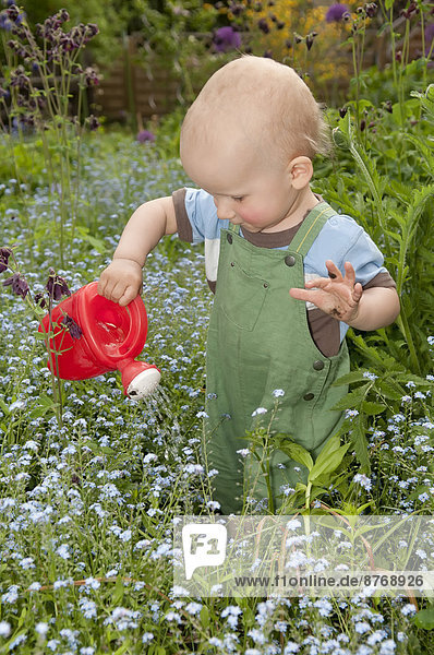 Small boy watering flowers