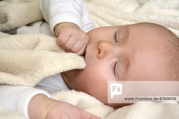 Portrait of sleeping baby boy with finger in his mouth