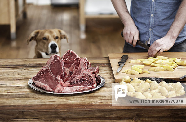 Mann in der Küche bei der Zubereitung von Kartoffeln und Steaks mit Hundebeobachtung