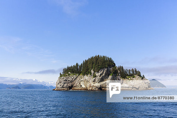 USA  Alaska  Seward  Resurrection Bay  Blick auf Felseninsel