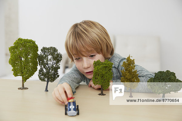 Deutschland  Junge am Tisch mit Baummodellen  Umweltschutz
