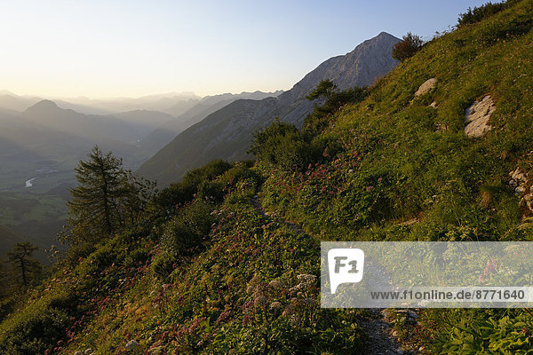 Deutschland  Oberbayern  Berchtesgadener Land  Hoher Goell  Blick auf Dachstein und Salzachtal  abends