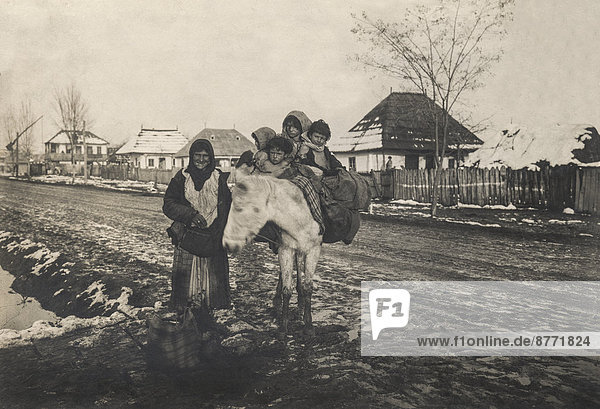 Historische Fotografie  ca. 1914 bis 1918  Zigeunerin führt Esel mit vier Kindern  Dorf Vadeni  Rumänien