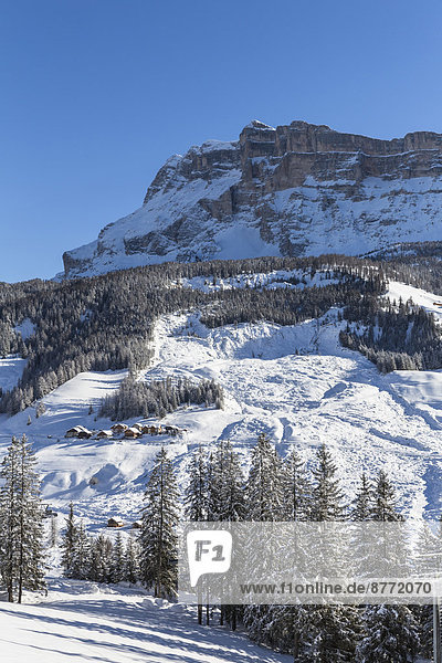 Italien  Dolomiten  Südtirol  Kreuzkofel  Wintersportgebiet Alta Badia  La Villa