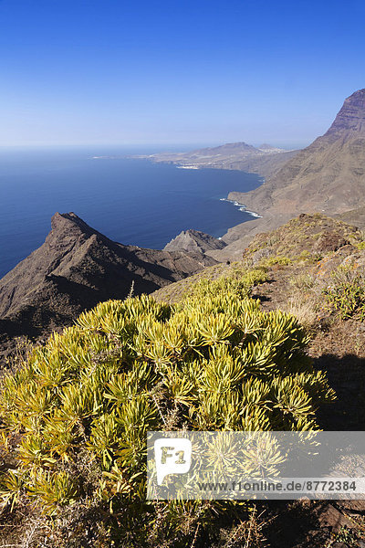 Anden Verde  Westküste mit Puerto de las Nieves und Berg Faneque Berg  Gran Canaria  Kanarische Inseln  Spanien