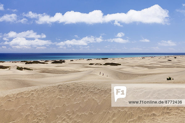 Dunes and beach of Maspalomas  Gran Canaria  Canary Islands  Spain