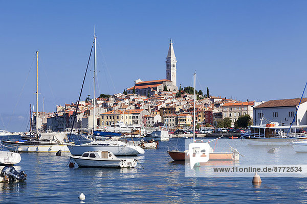 Harbour and historic town centre with the tower of the Parish Church of St. Euphemia  Rovinj  Istria  Croatia