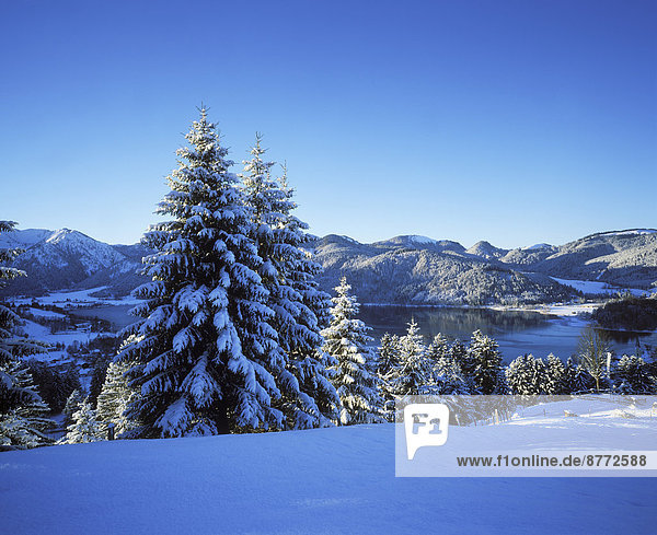 Schliersee im Winter  Ausblick von Stögeralm  Mangfallgebirge  Oberbayern  Bayern  Deutschland